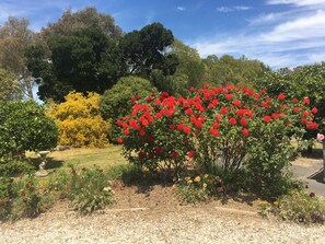 Standaard kamer, niet-roken (Twin) | Uitzicht op de tuin