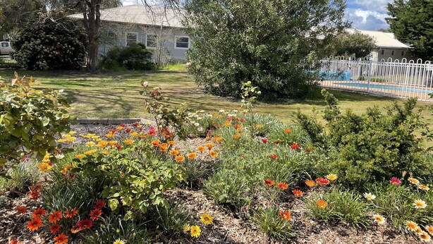 A garden with various flowers and a large tree. - Byer Fountain Motor Inn, Holbrook (Holbrook)