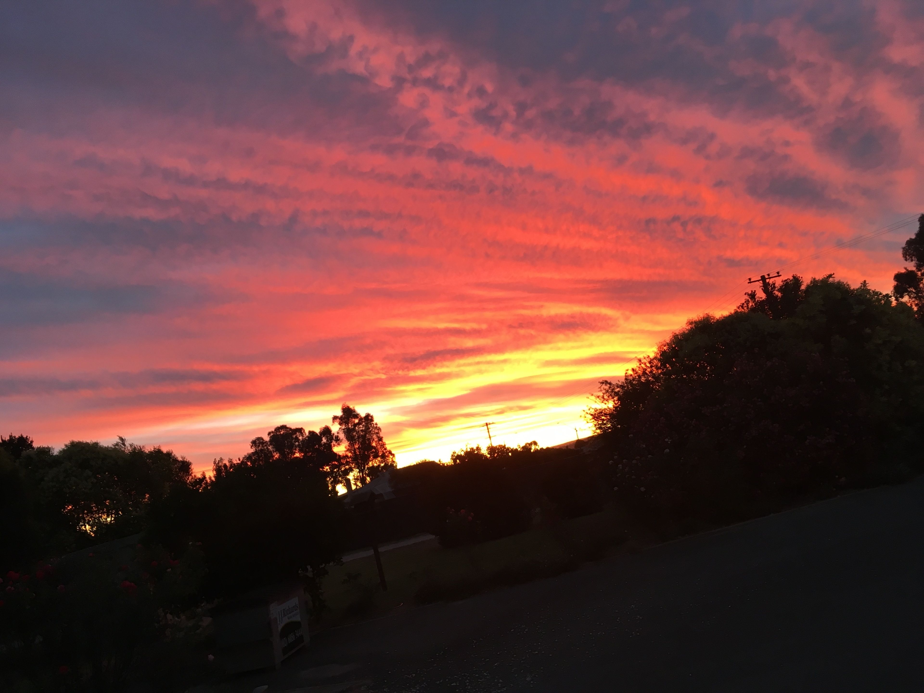 Standard Room, Non Smoking (Double) | View from room