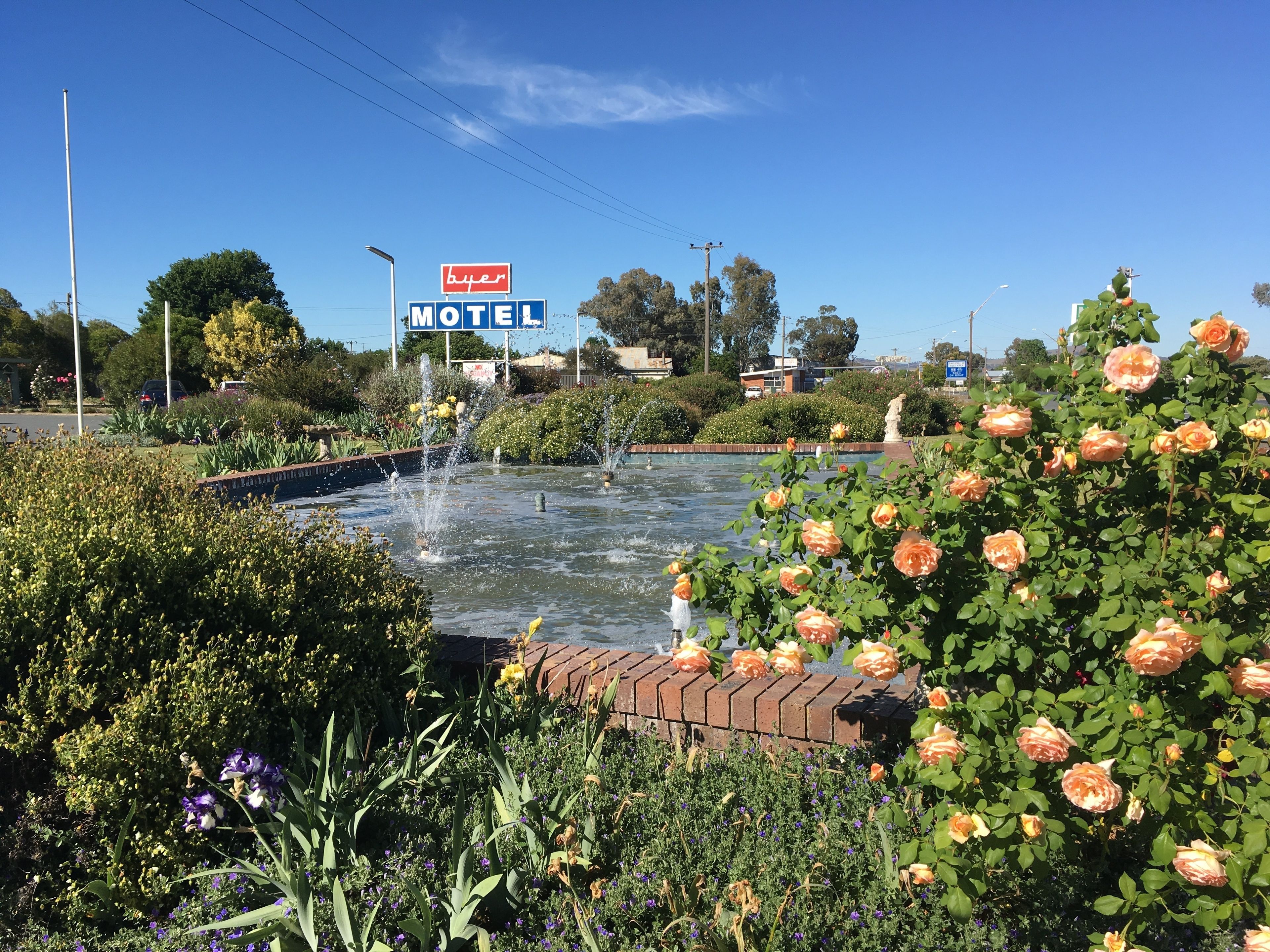 A motel sign with a fountain and blooming roses in the foreground.