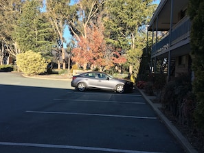 Free self-parking