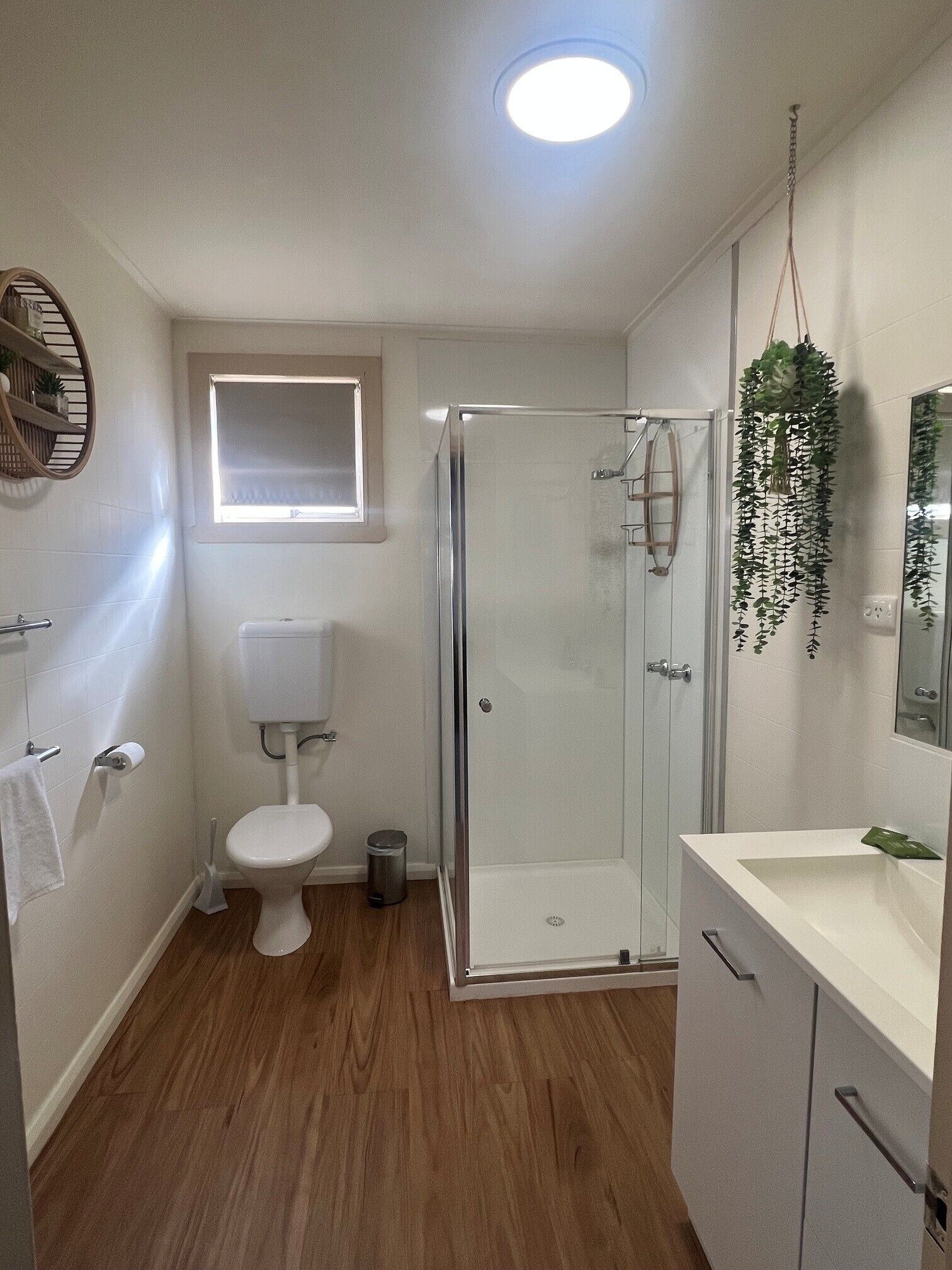 A bathroom with a toilet, a shower enclosure, a sink, and a hanging plant.
