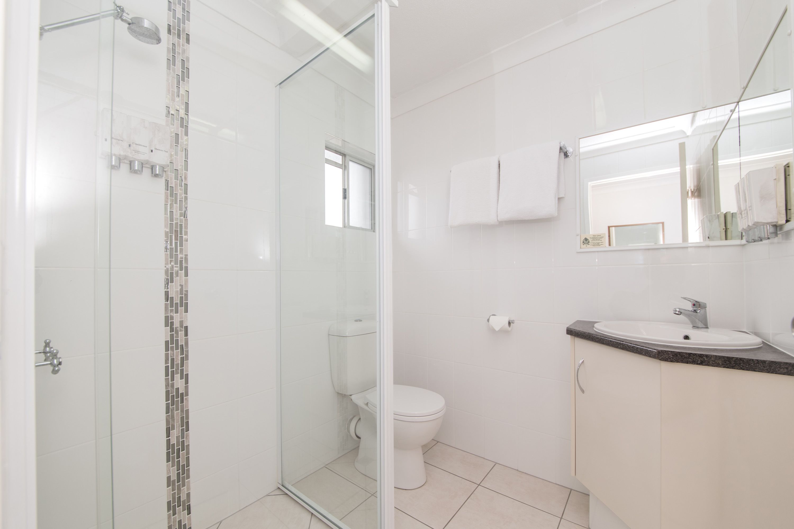 A modern bathroom with a glass shower enclosure, a toilet, and a sink with a mirror above it.
