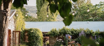 ์นด๋๋ก๋ ํธํ
