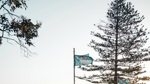 Un bâtiment sur lequel on peut lire l’inscription « BELAIR GARDENS », et un mât sur lequel flotte un drapeau.
