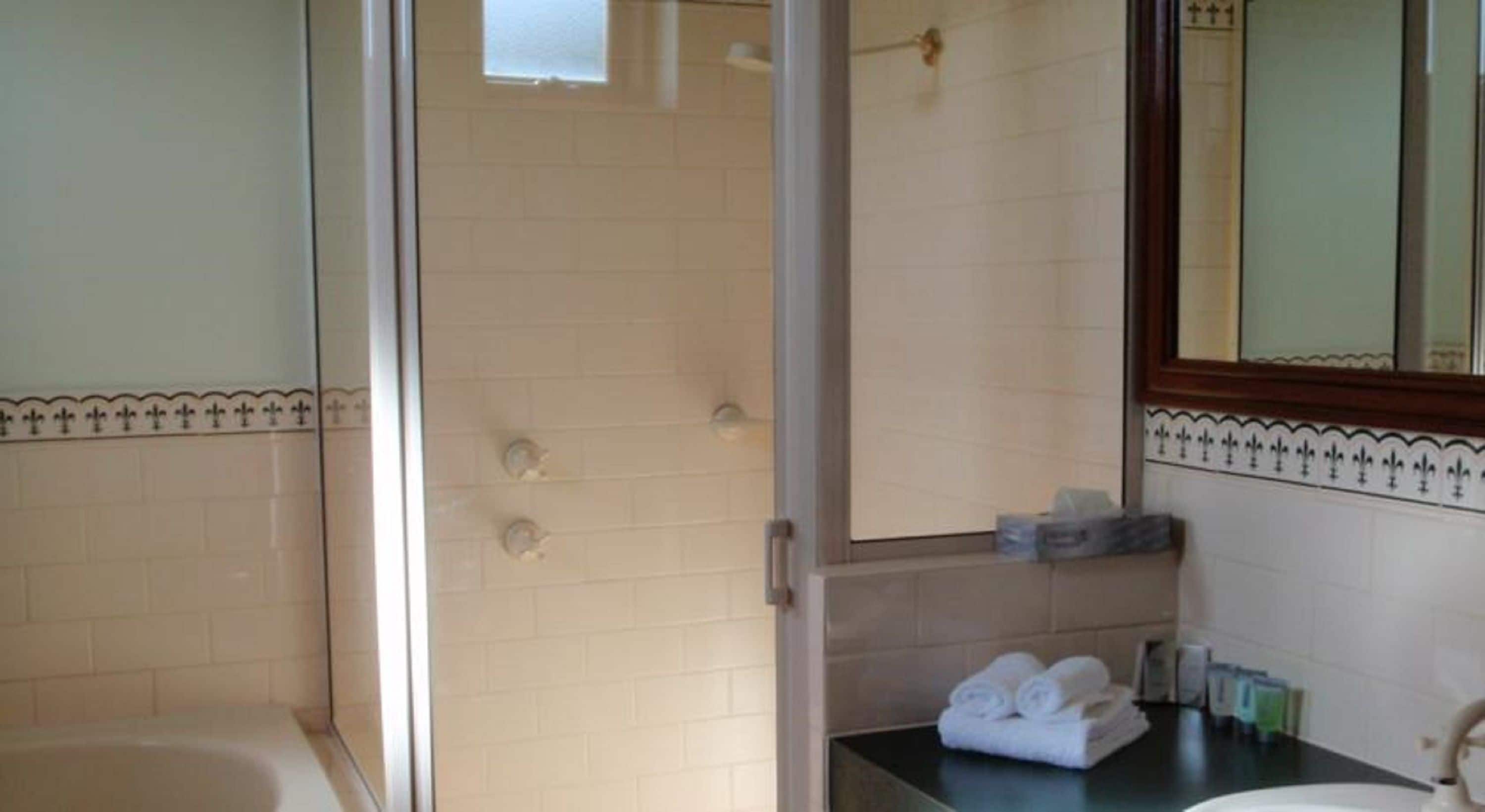 king spa suite | bathroom | shower, hair dryer, towels