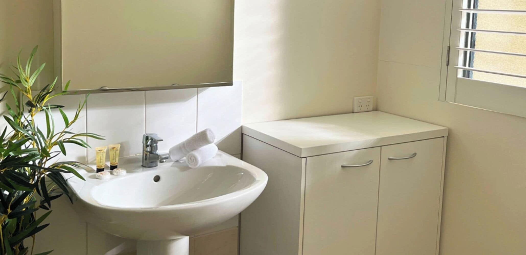 A bathroom with a white sink, a mirror, a towel, and a plant.