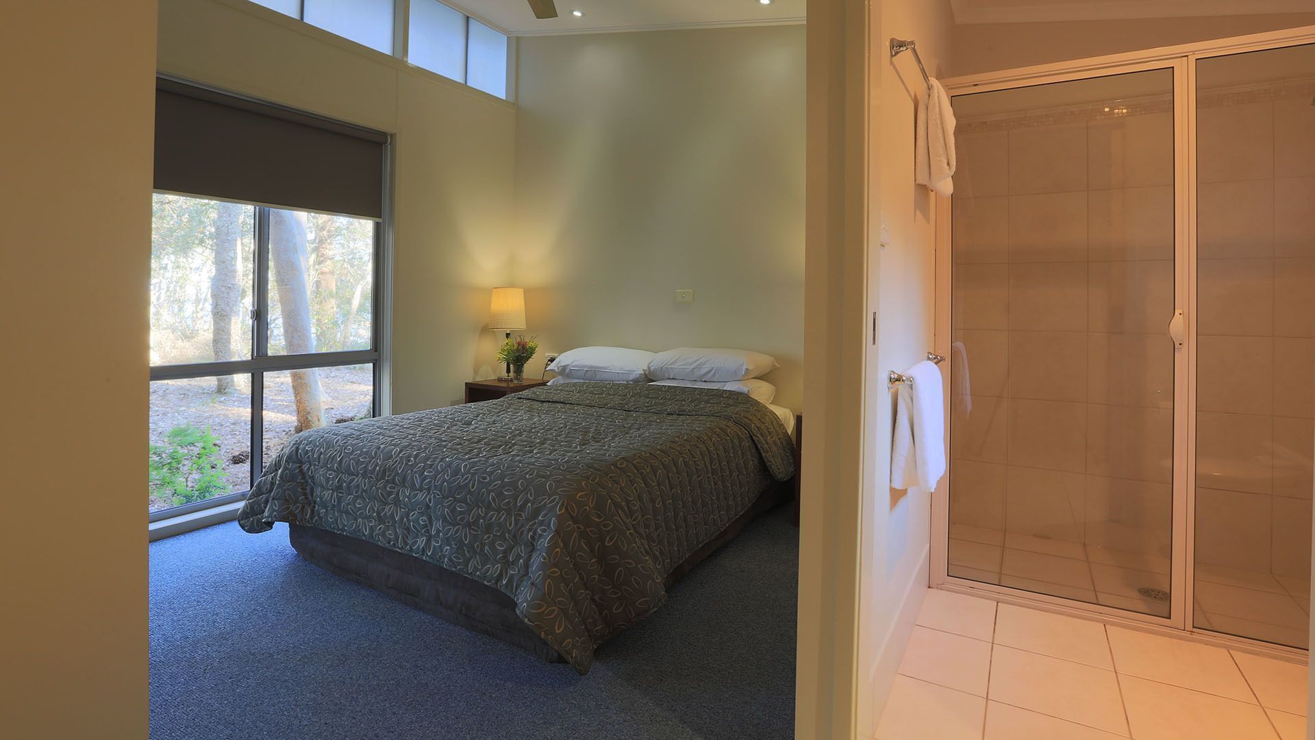 Iron/ironing board, bed sheets