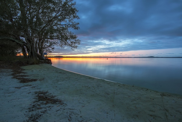 Une plage avec un lac paisible, des arbres et un coucher de soleil.
