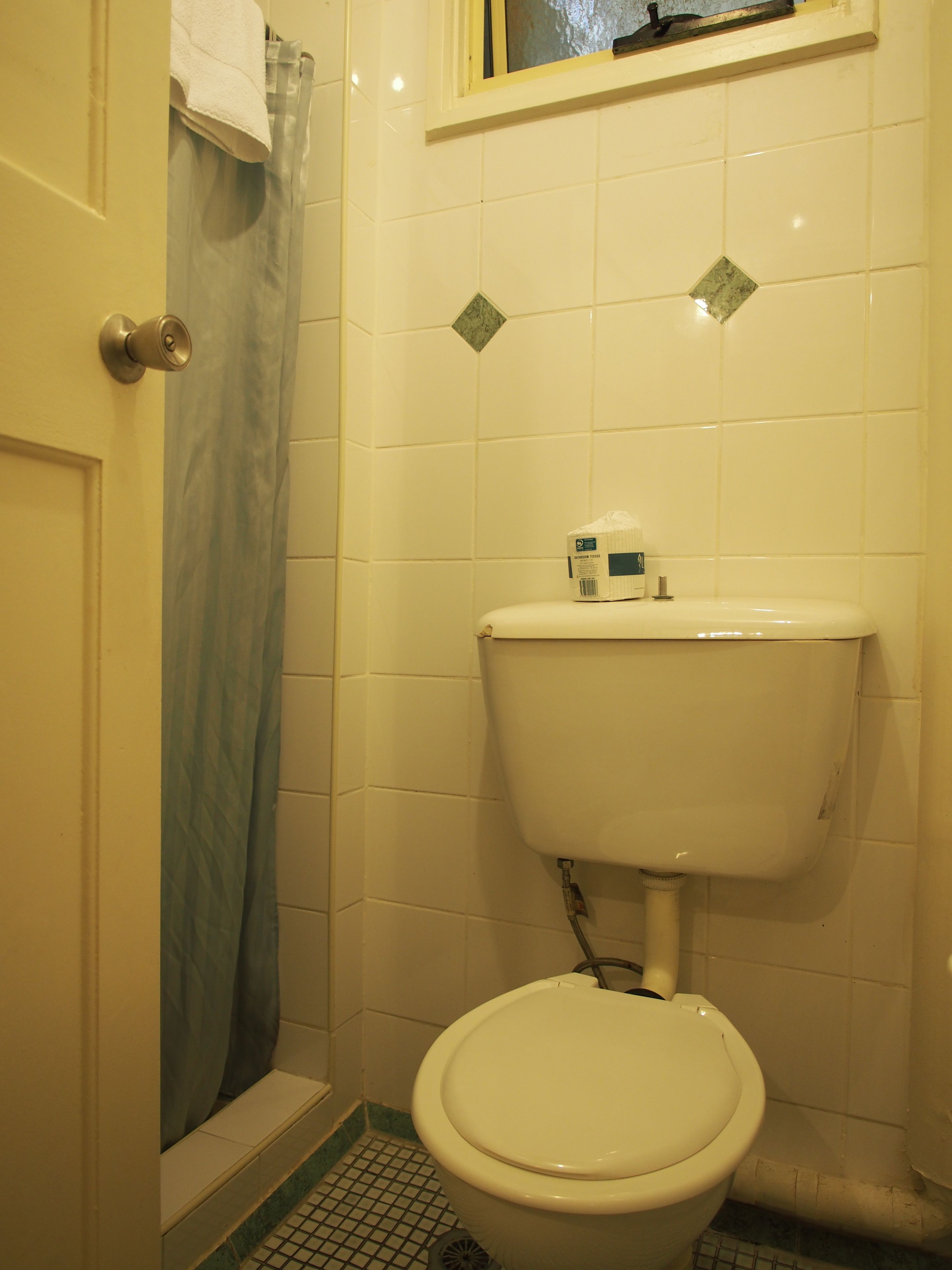 Une salle de bain avec des toilettes, un rideau de douche et une fenêtre au-dessus du lavabo.