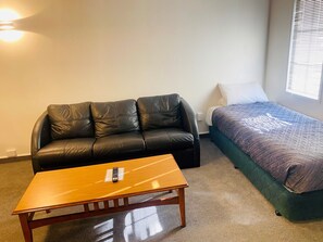 32 インチの薄型テレビ (デジタル放送視聴可)、テレビ