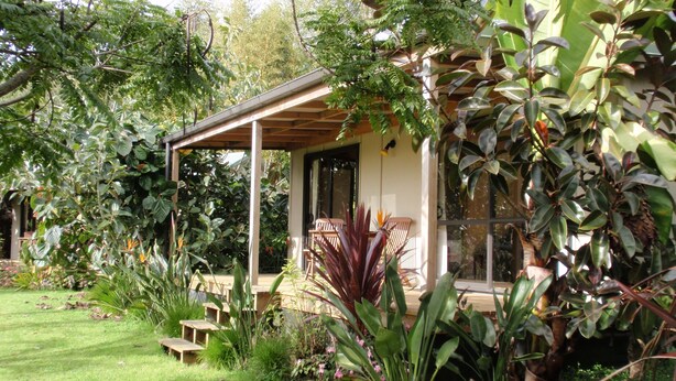 A covered outdoor seating area with wooden benches, surrounded by lush greenery and various plants. - Wharepuke Subtropical Accommodation (Kerikeri)