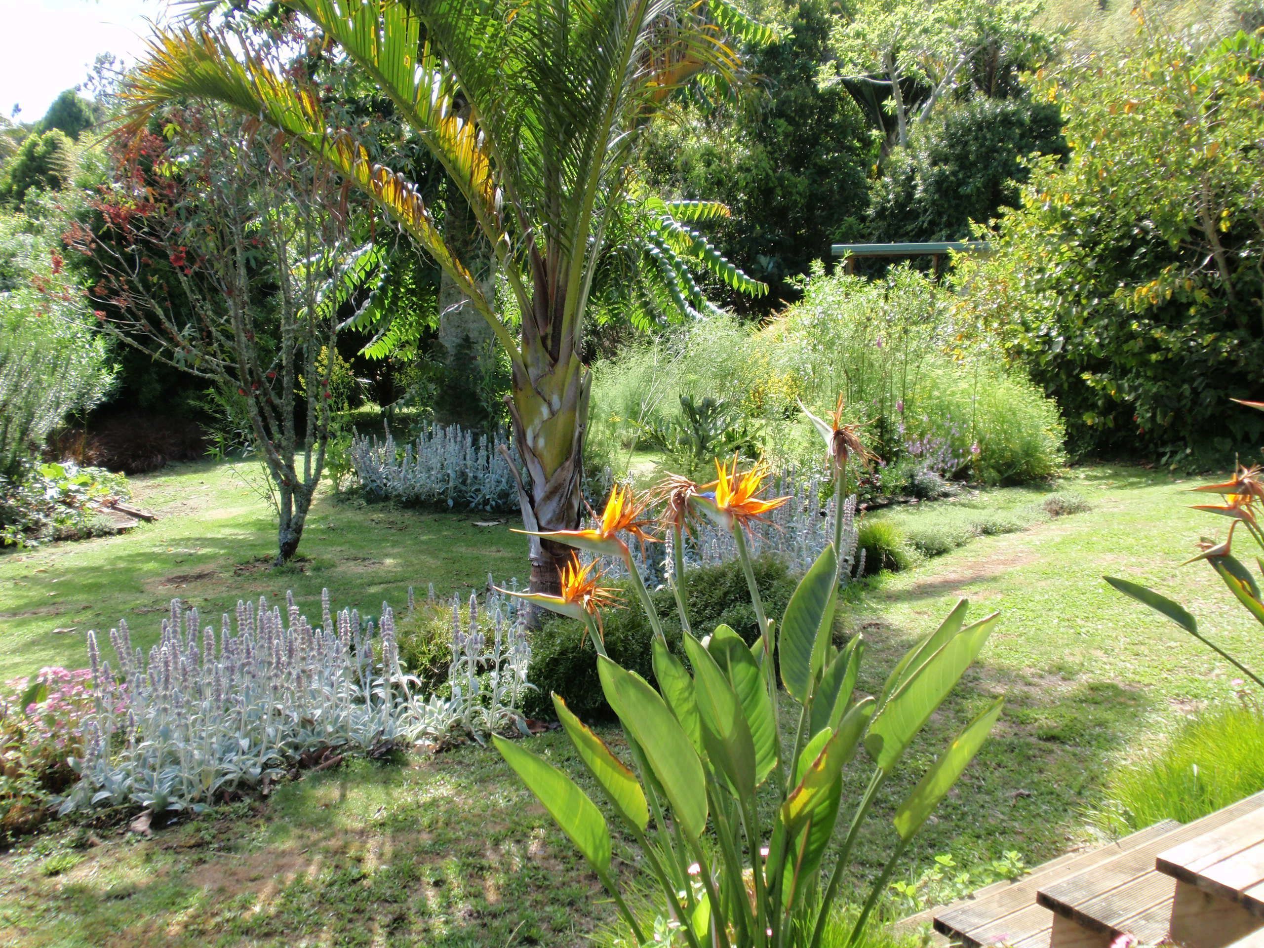 Un jardín con diversas plantas y un banco de madera.