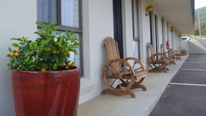 Una hilera de sillas de ruedas de madera y una planta grande en maceta en el exterior de un edificio.