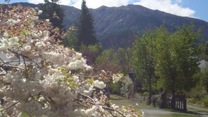 Mountain view - Harrogate Gardens Motel Hanmer Springs (Hanmer Springs)