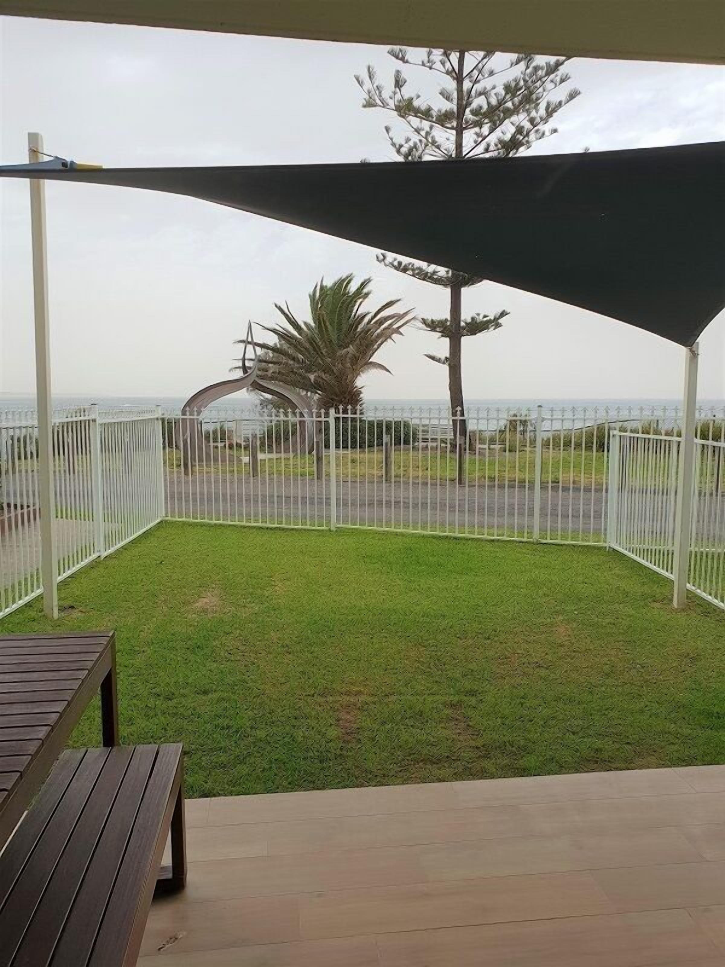 A covered outdoor area with a white fence, a palm tree, and a view of the sea.