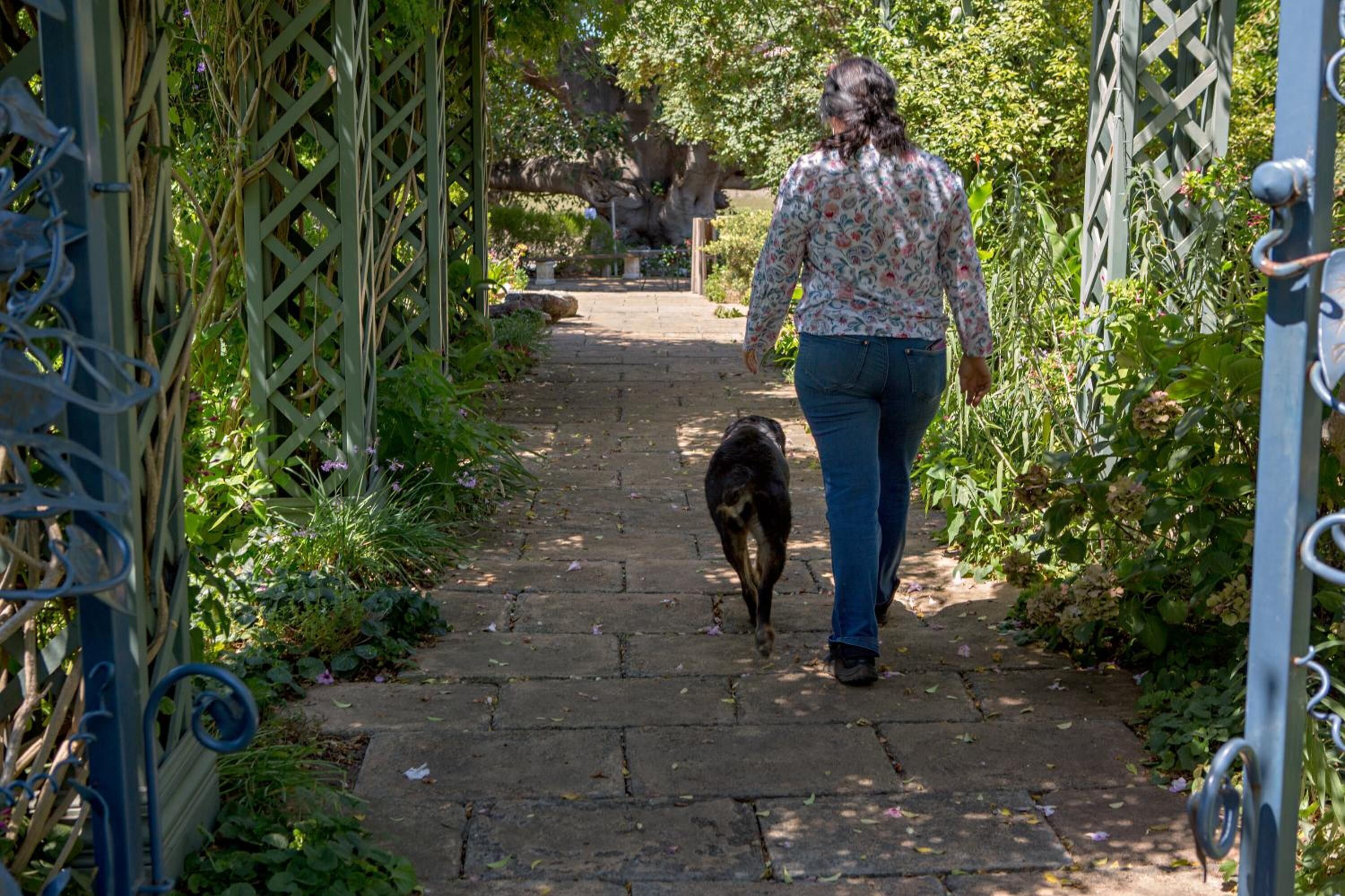 A pathway leading to a garden area with a lattice gate on the left and a wooden bench in the background.