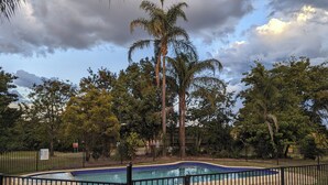 Una piscina rodeada por una valla de metal negro, con palmeras y otra vegetación al fondo.