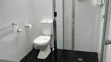 Et moderne badeværelse med et glasafskærmet brusebad, toilet og sort flisegulv.