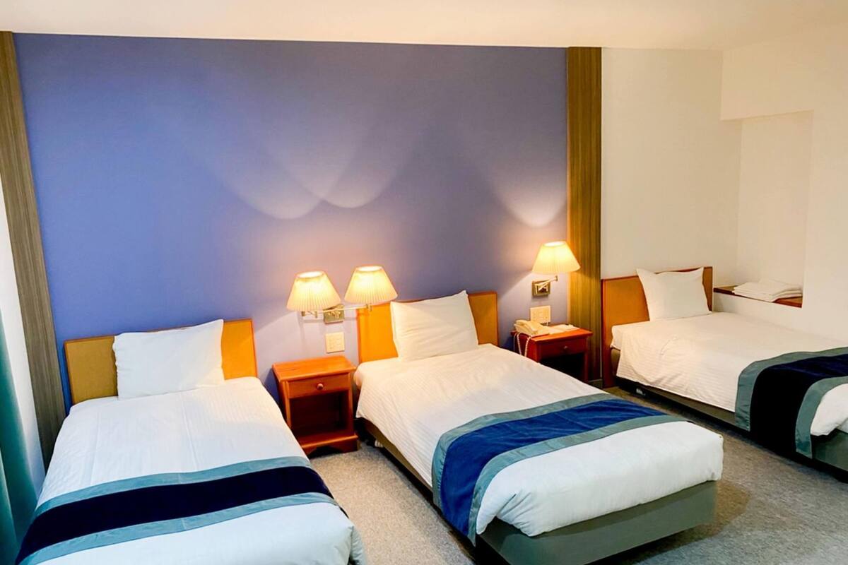 Desk, blackout drapes, free WiFi, bed sheets