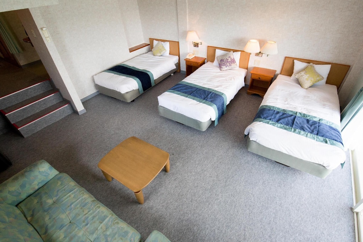 Desk, blackout drapes, free WiFi, bed sheets