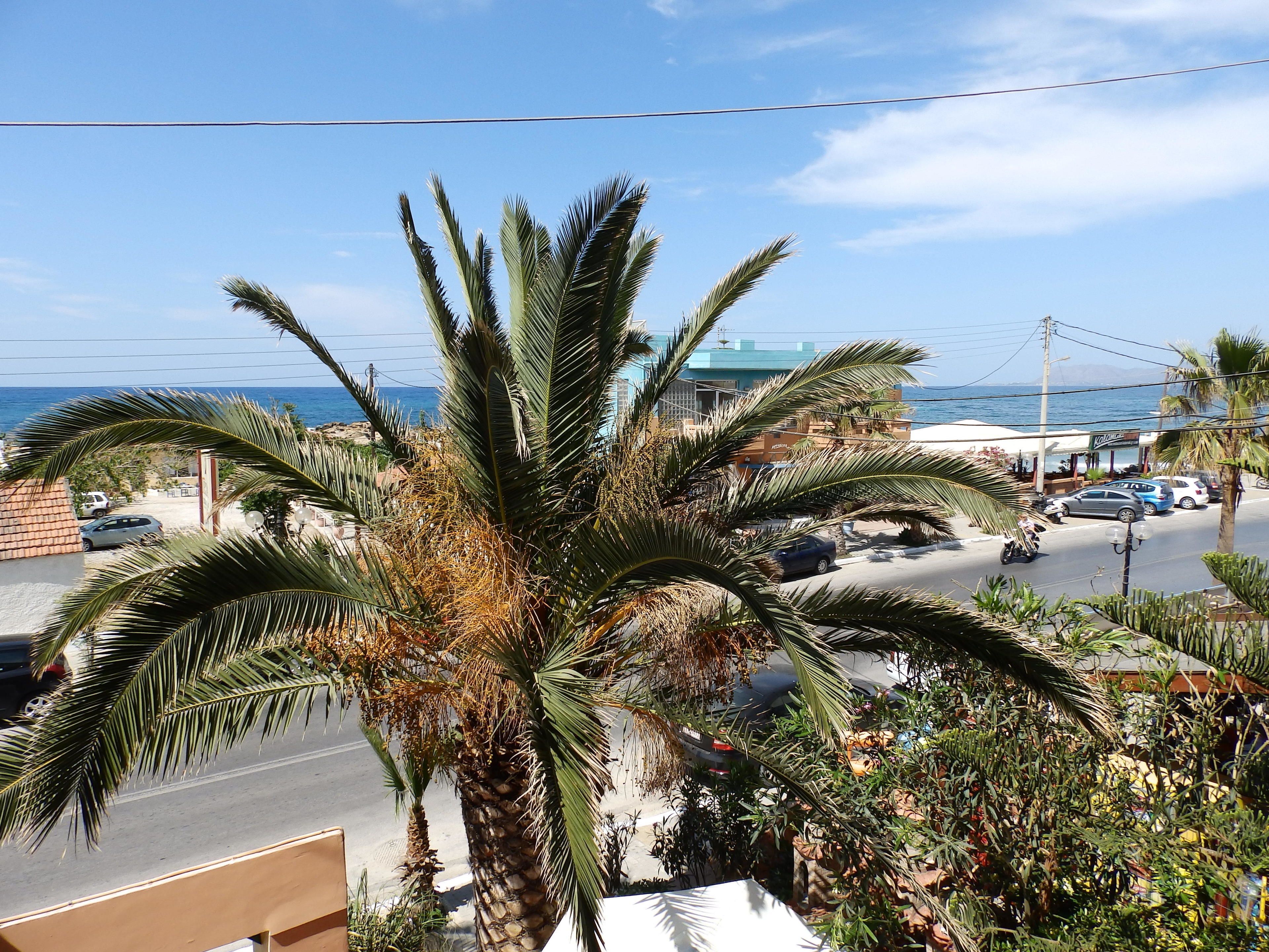 Photo - Sevach Apartments