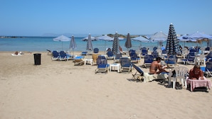 Una playa con hileras de sombrillas y sillas de playa a rayas azules y blancas.