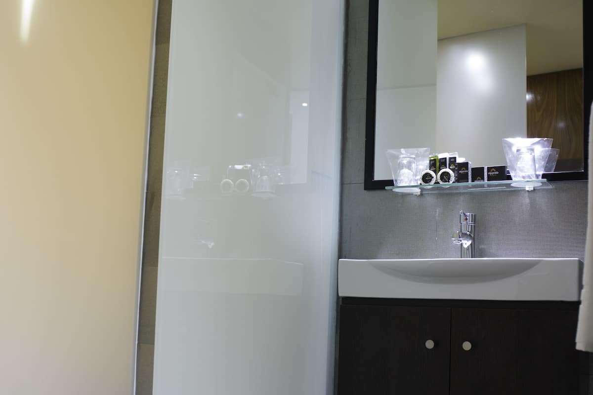 shower, rainfall showerhead, free toiletries, hair dryer