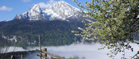 A mountain landscape with a wooden fence, a wooden bench, and a tree with white blossoms.