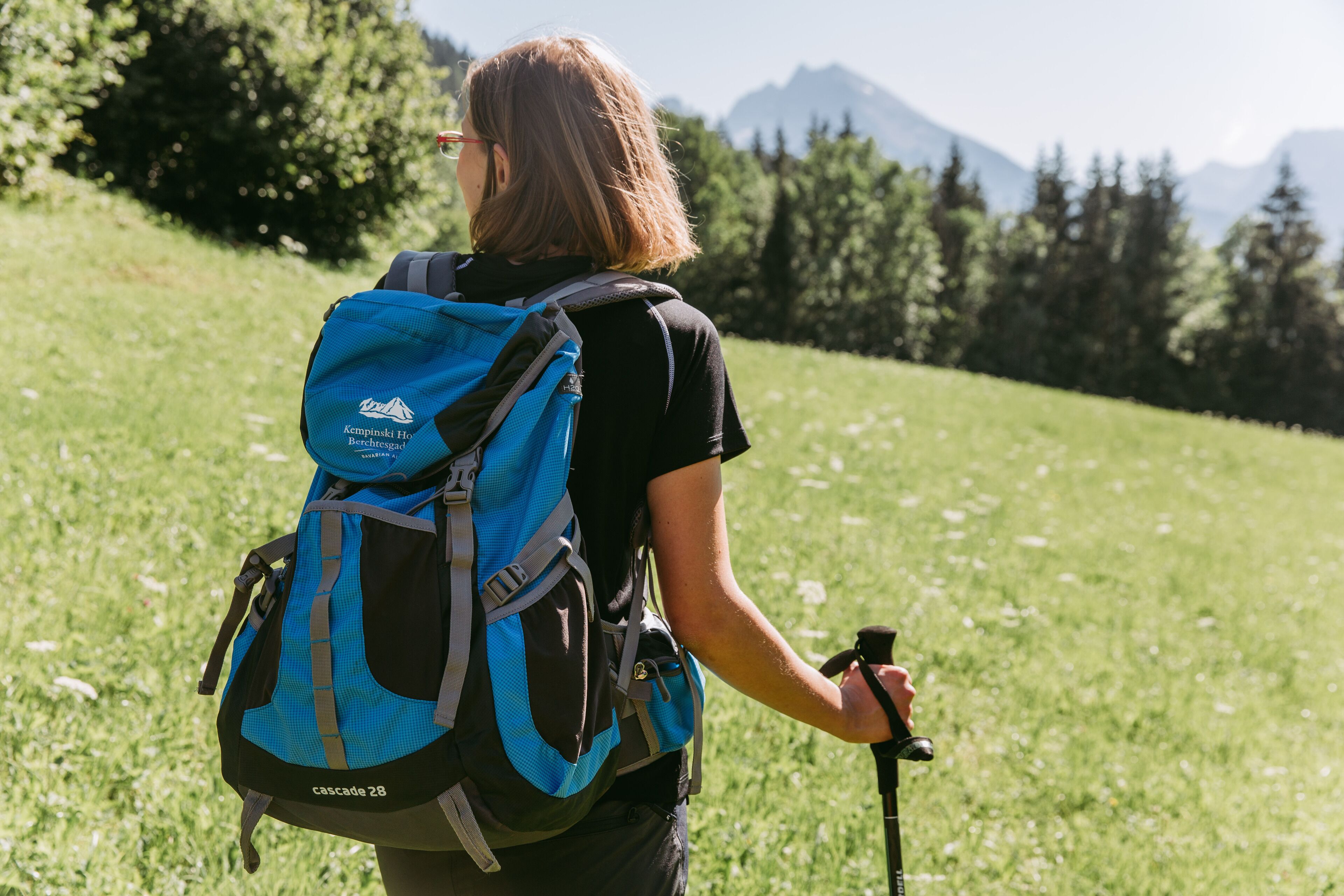 A person with a blue backpack and hiking poles in a grassy field with trees and mountains in the background.