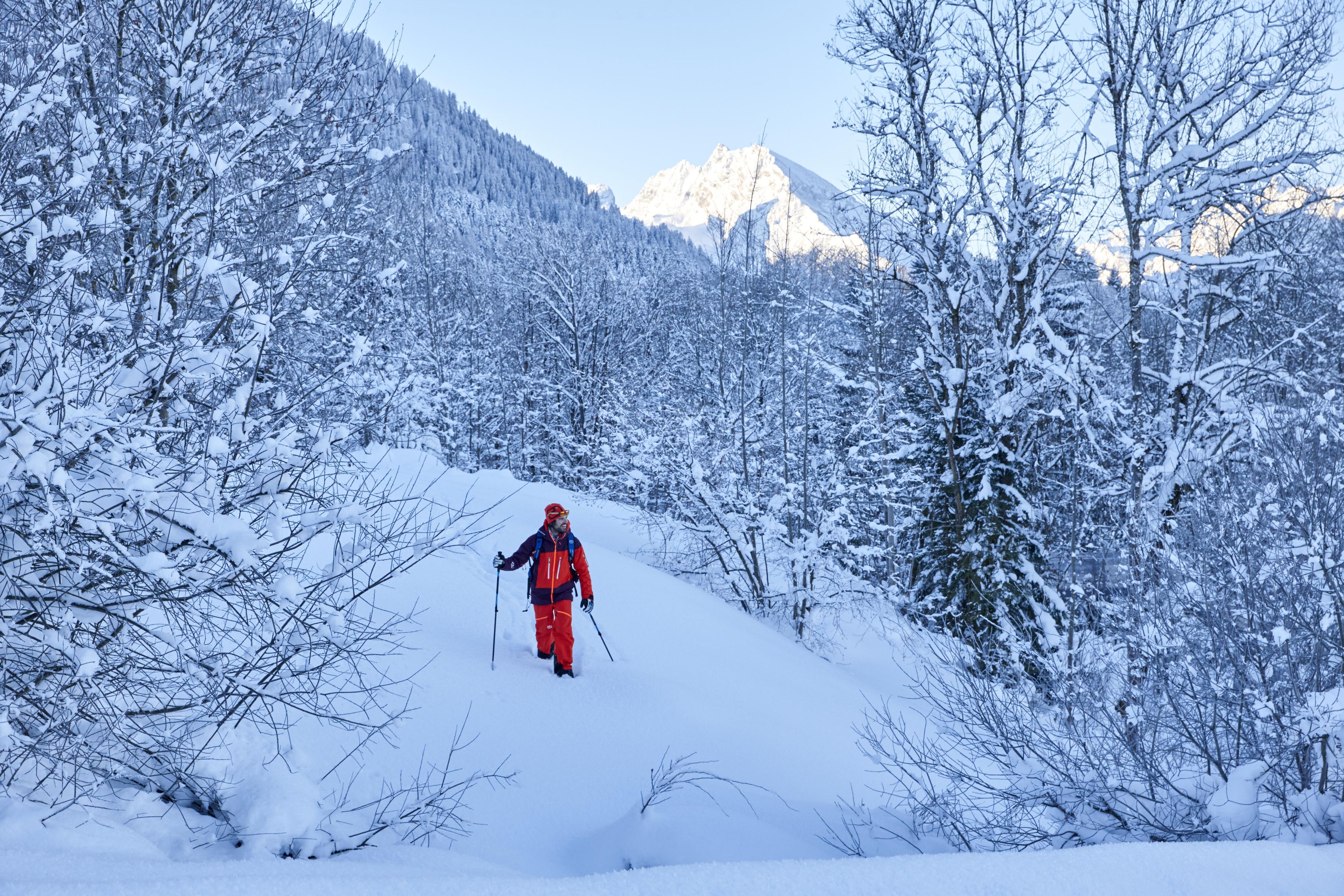 Eine Person wandert durch einen verschneiten Wald mit Bergen im Hintergrund.