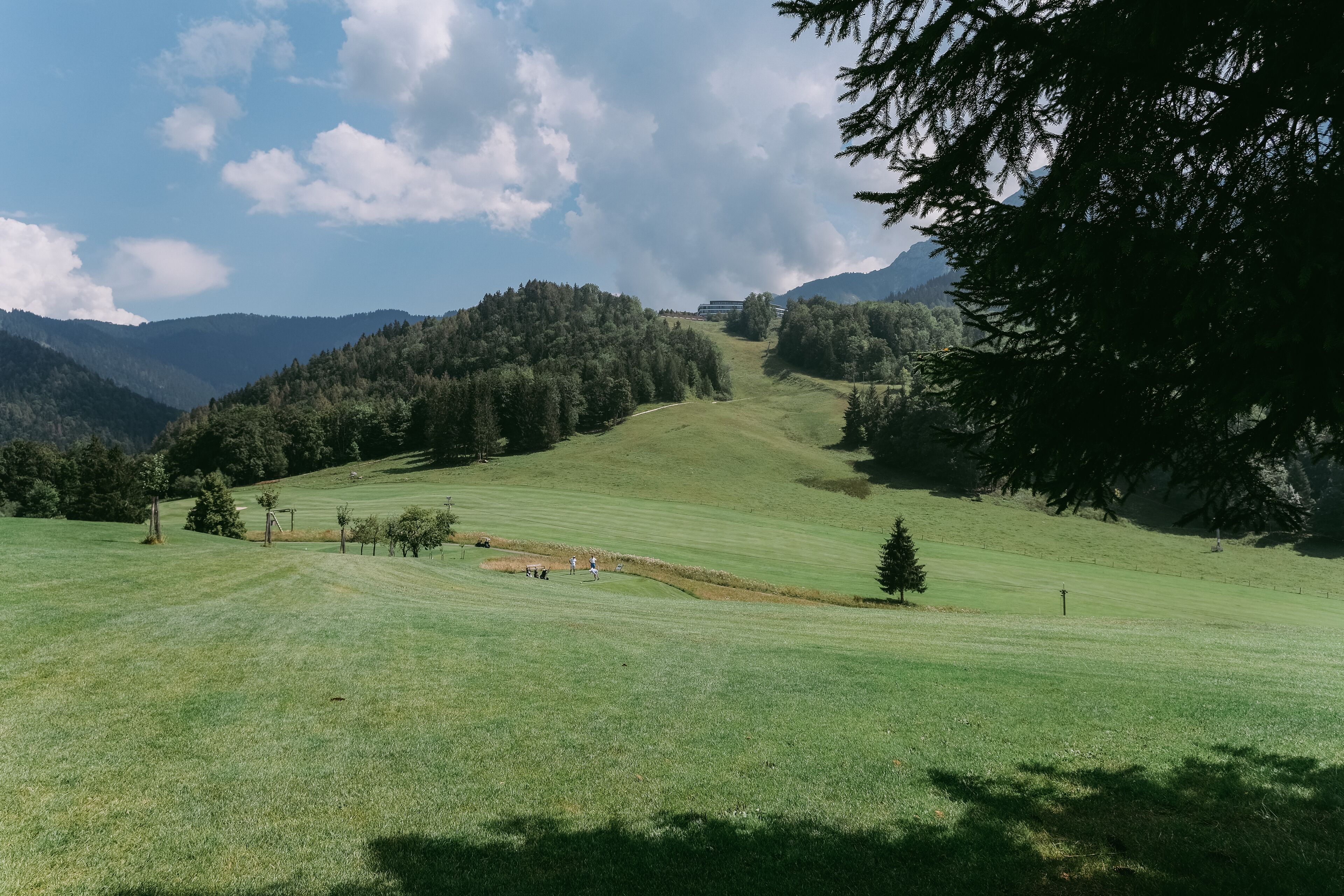 A grassy field with a few trees and a distant building on a hill.