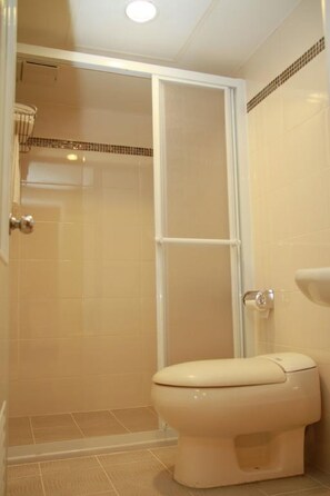 Shower, rainfall showerhead, free toiletries, hair dryer - Ti Hwa Hotel (Taipei)