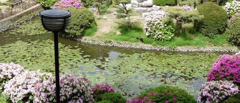 Un jardín tranquilo con un estanque, abundante vegetación y arbustos florecientes.