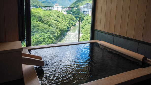 A hot spring bath with a view of a river and mountains. - Kinugawa Kanaya Hotel (Nikko)