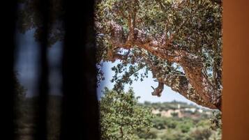 Uitzicht vanuit de kamer