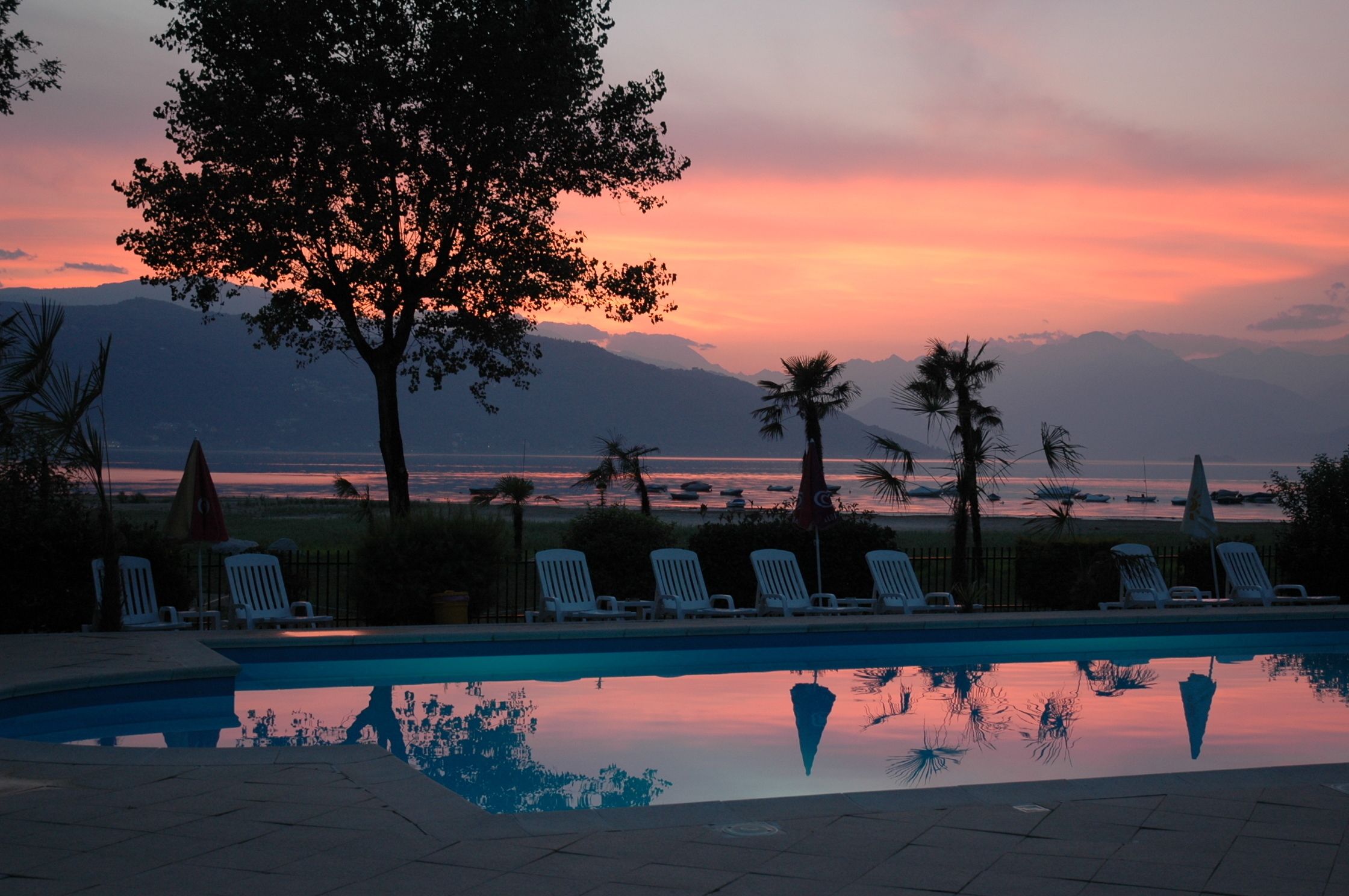 Outdoor pool, pool loungers