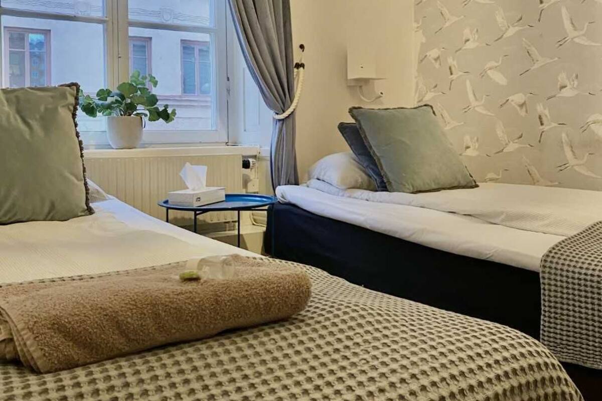 Habitación de hotel con dos camas, una ventana con cortinas, una planta en maceta y una pared con motivos de pájaros.