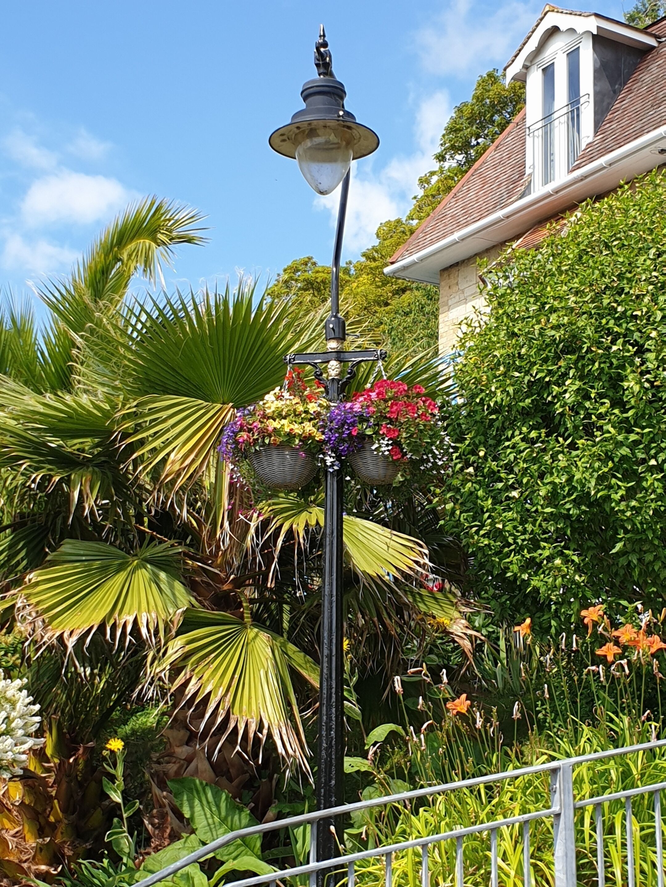 Ein Garten mit einer Straßenlaterne, verschiedenen Pflanzen und einem Haus im Hintergrund.