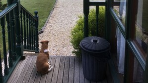 En træterrasse med en hund, en skraldespand og udsigt til et græsareal med træer.