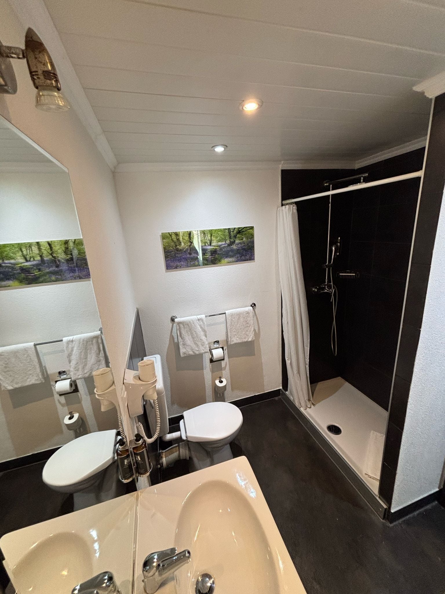 Foto - Hotel Parc & Lac