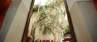 Riad White Flowers