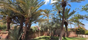 Un jardín con palmeras y plantas en flor.