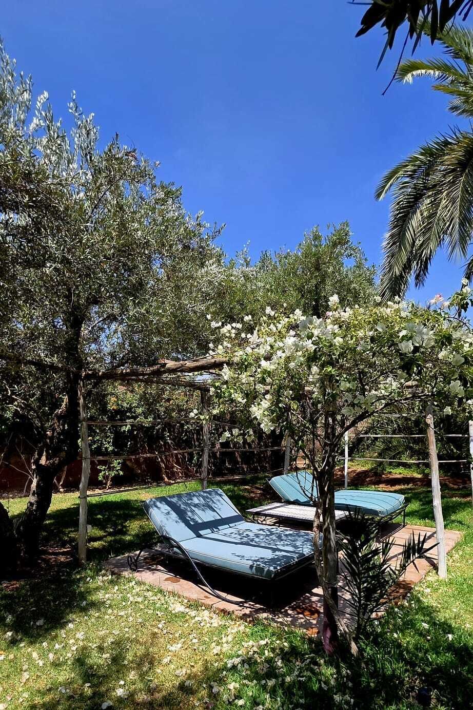 A garden with outdoor seating, a pergola, and trees.