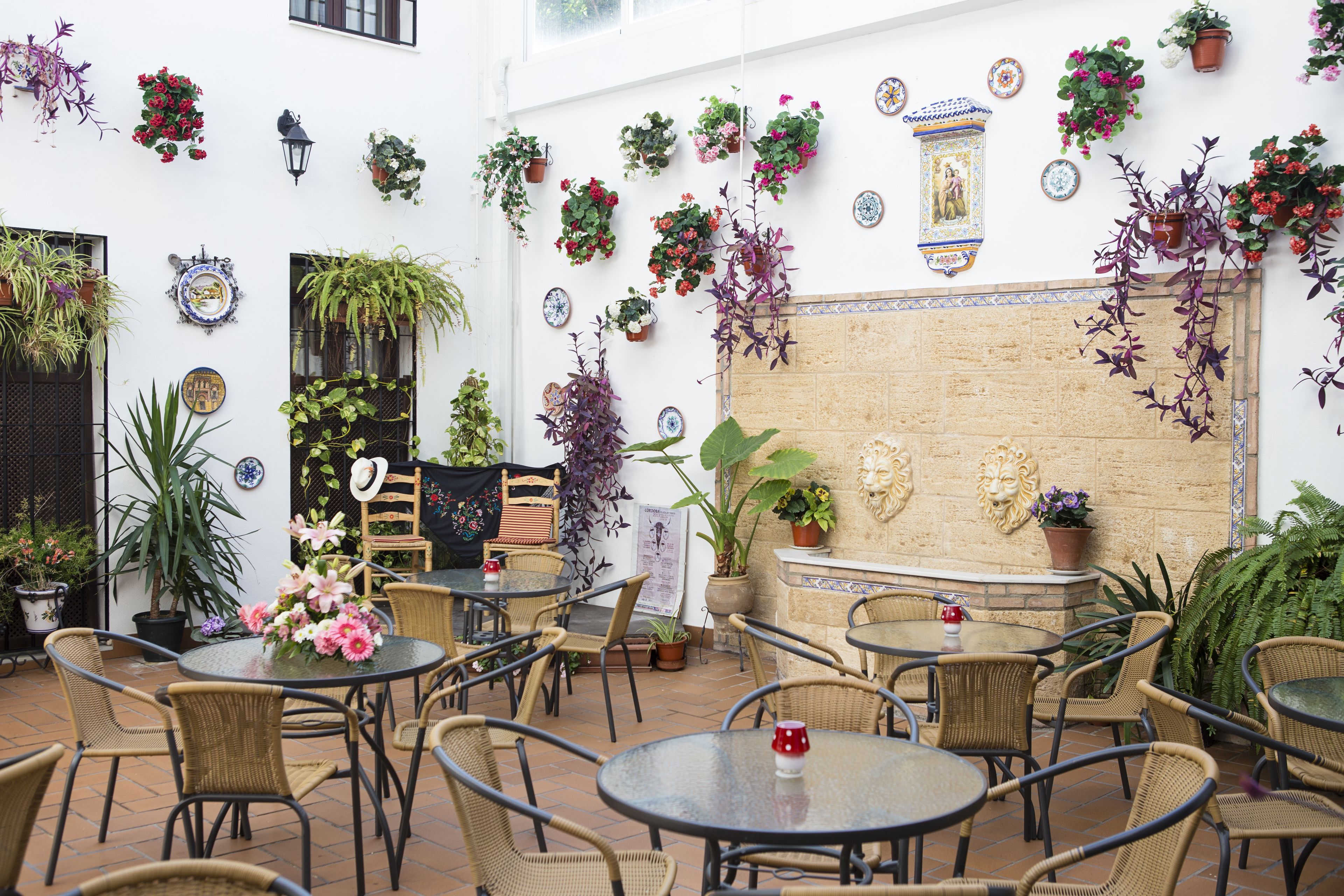 Foto - Hotel de Los Faroles