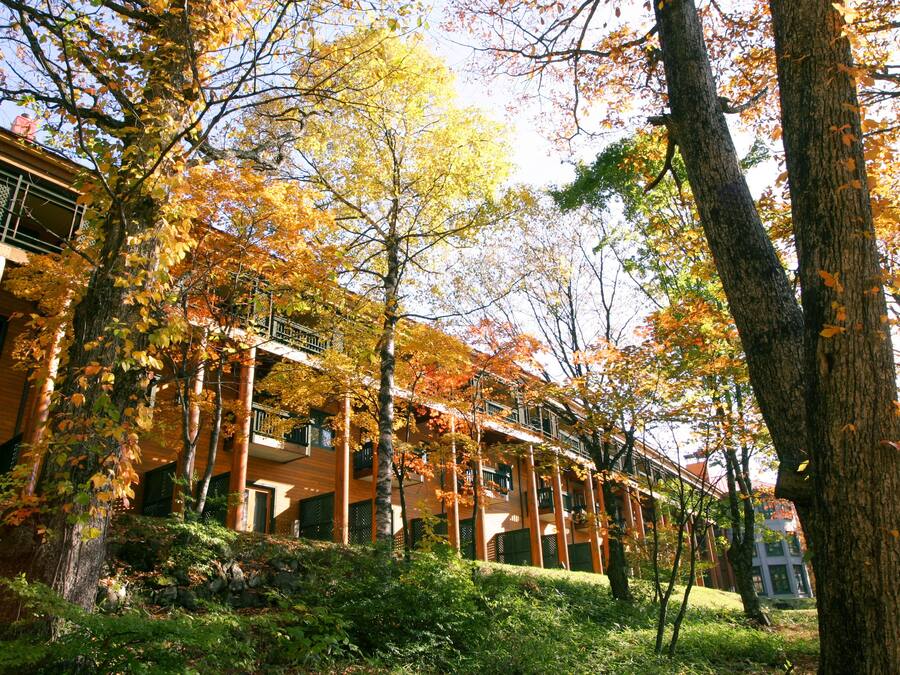 A building with multiple floors, surrounded by trees with autumn foliage.