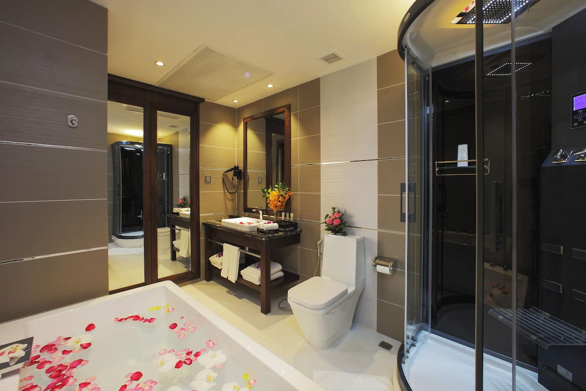 Shower, free toiletries, hair dryer, bathrobes