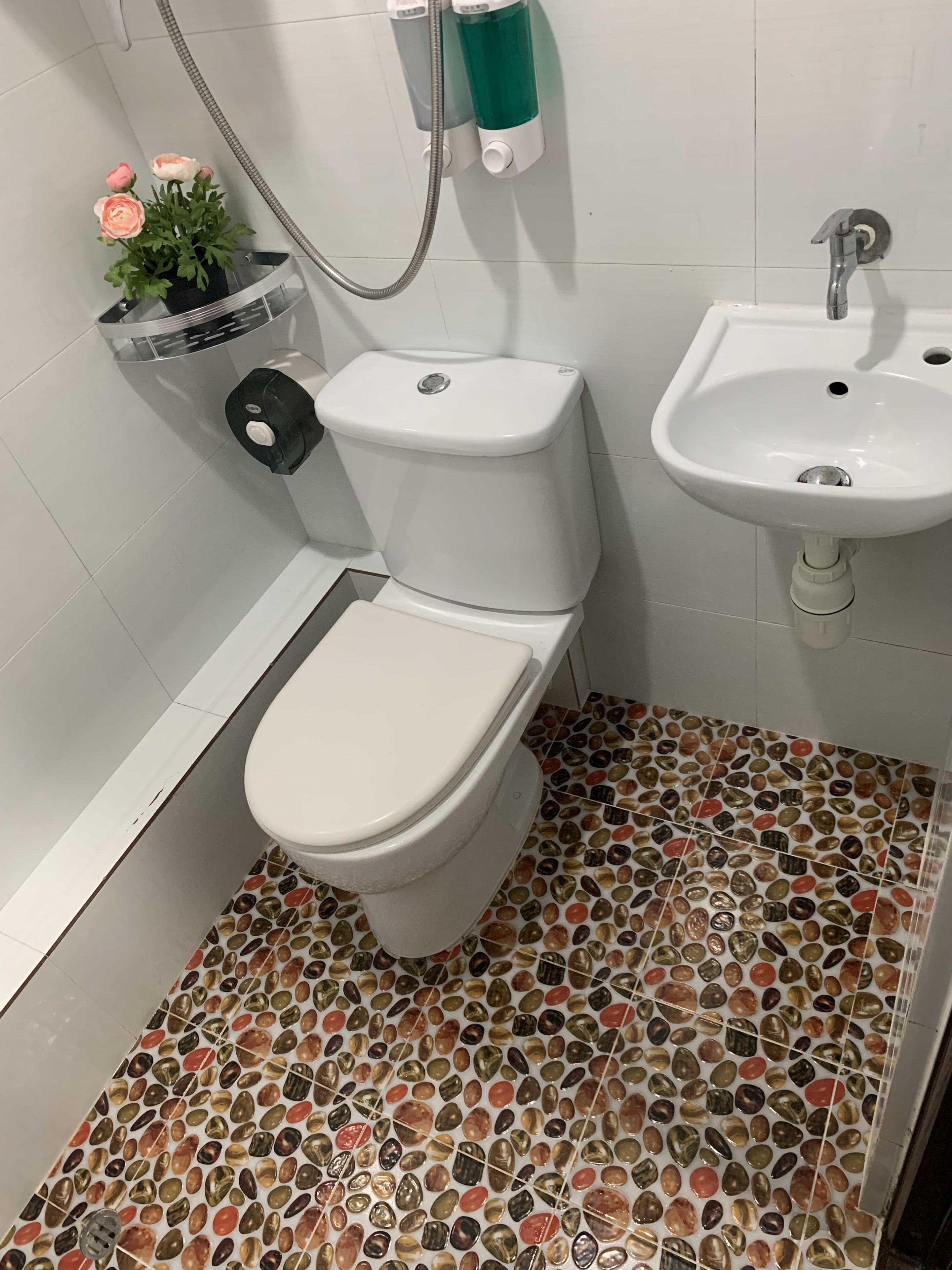 Photo - Sydney Hostel