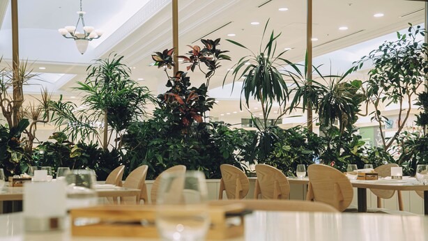 A spacious indoor dining area with multiple tables and chairs, surrounded by lush green plants. - Wishton Hotel Yukari (Sakura)