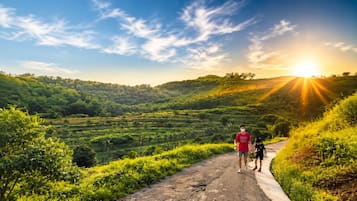 Un sendero serpentea por un paisaje exuberante y verde, con una puesta de sol al fondo.